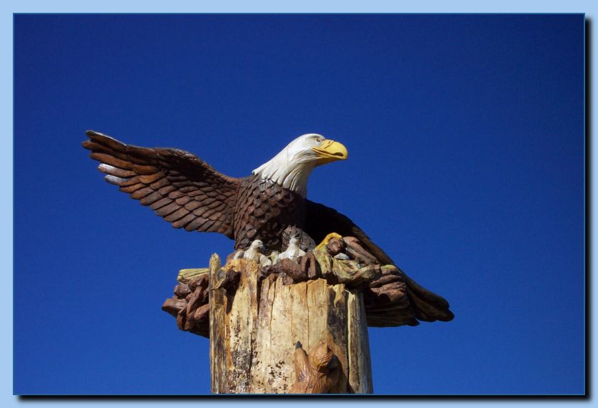 2-18 eagle with wings out, attached -archive-0001